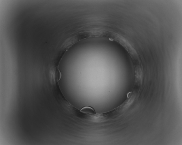 X0000102790333200808251034