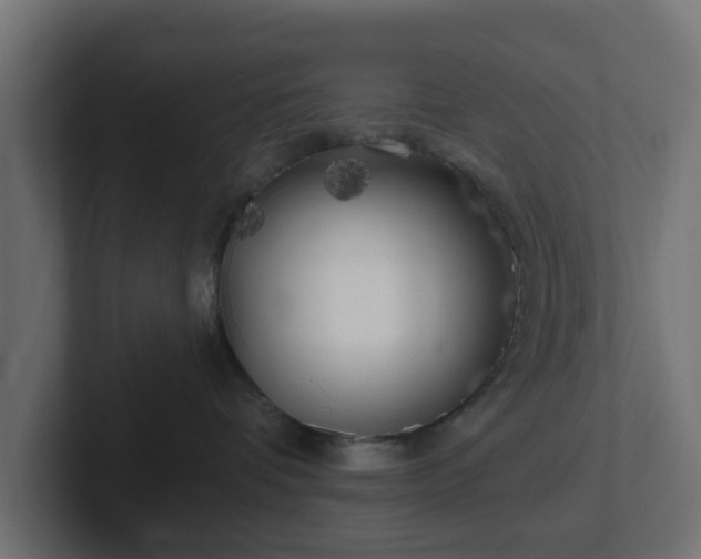 X0000102790336200808251033