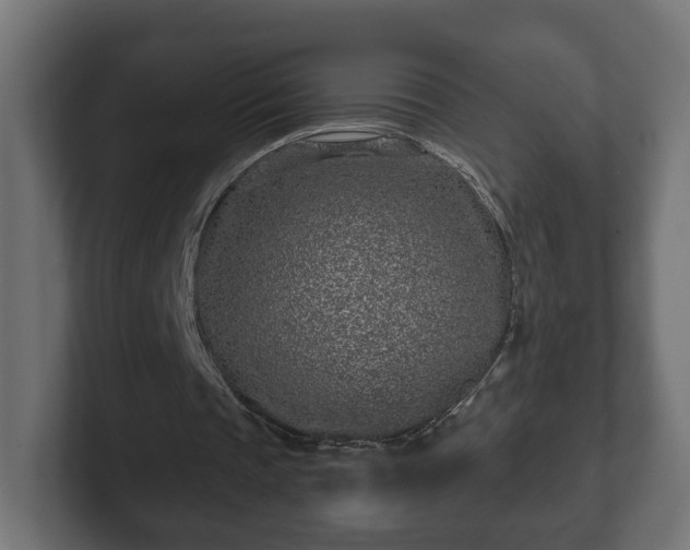 X0000102790337200808251033