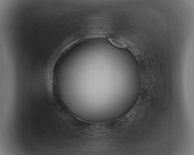 X0000102790338200808251033