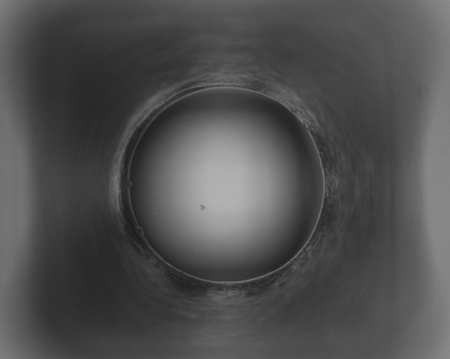 X0000102790340200808251033