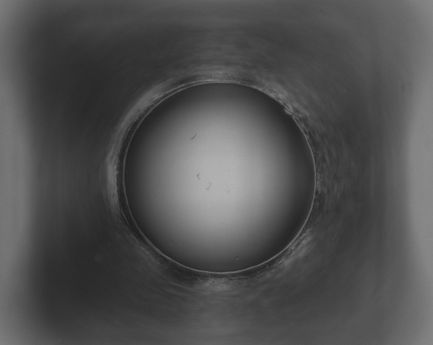 X0000102790341200808251033