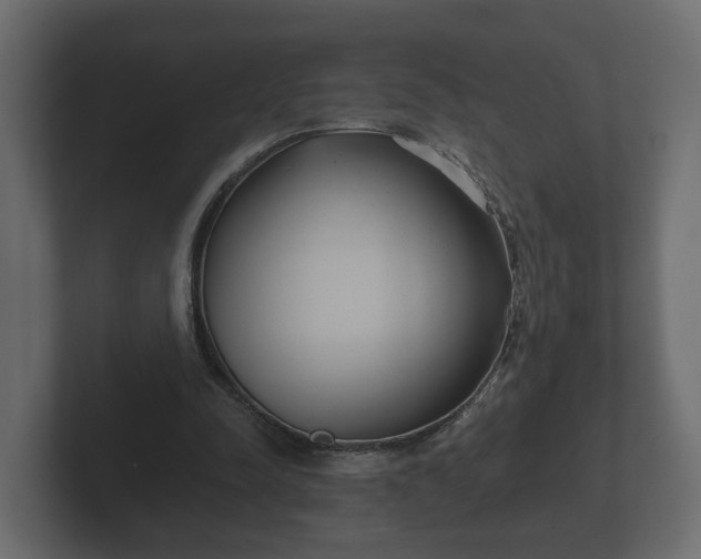 X0000102790342200808251033