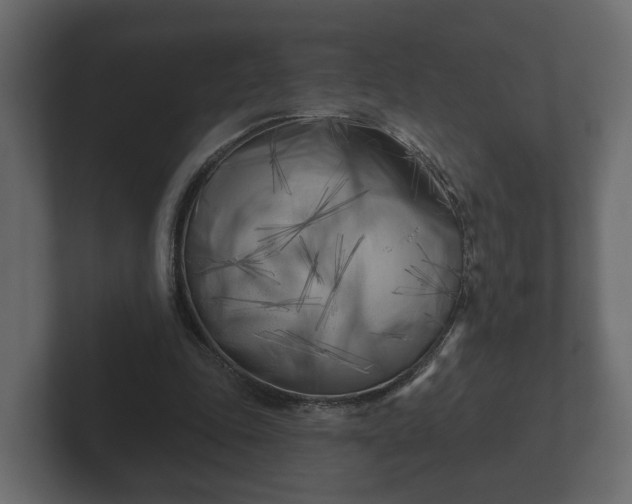 X0000102790343200808251033