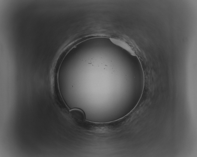 X0000102790344200808251033