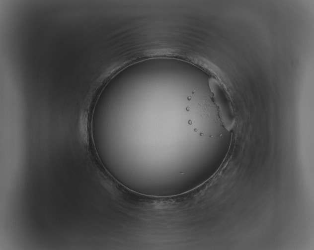 X0000102790345200808251033