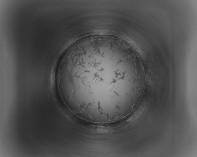 X0000102790347200808251033