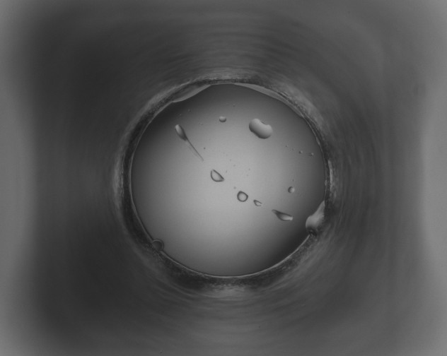 X0000102790348200808251033