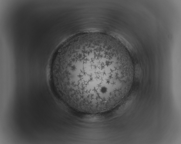 X0000102790351200808251033