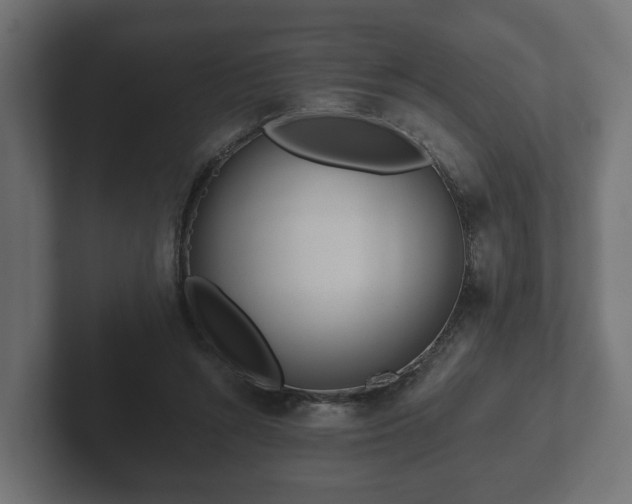 X0000102790352200808251033