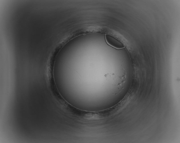 X0000102790354200808251033