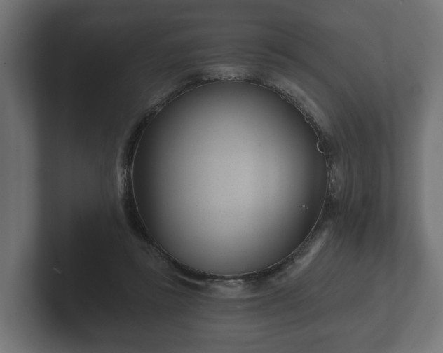 X0000102790355200808251033