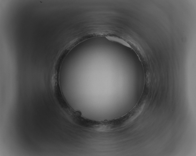 X0000102790356200808251033