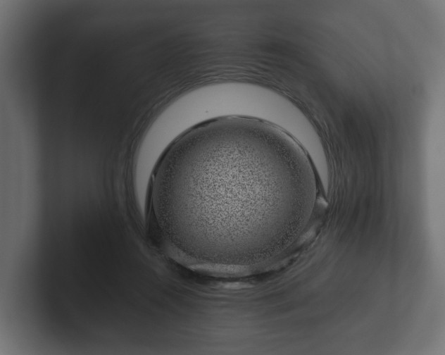 X0000102790360200808251033