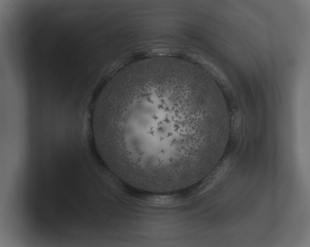 X0000102790361200808251033