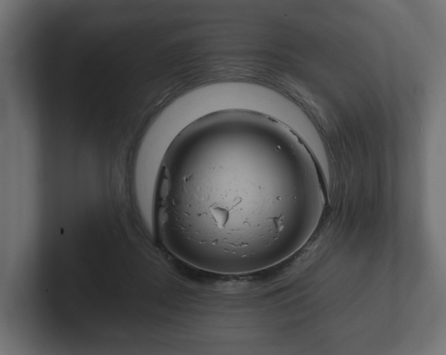 X0000102790362200808251033