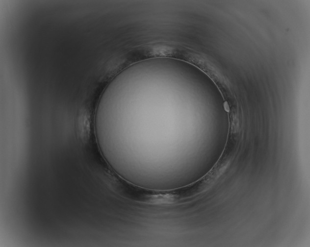 X0000102790363200808251033