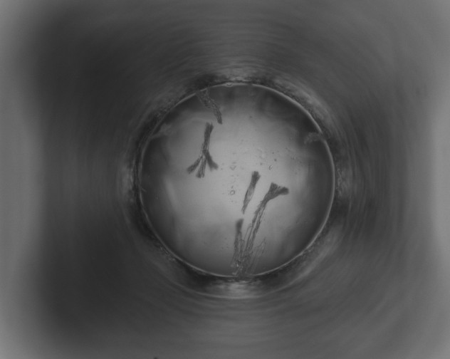 X0000102790365200808251033