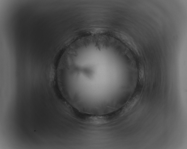 X0000102790367200808251033
