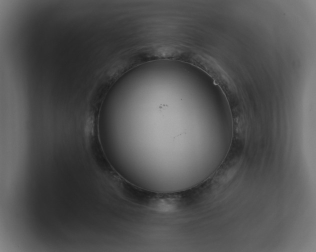 X0000102790368200808251033