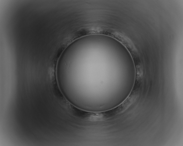 X0000102790369200808251033