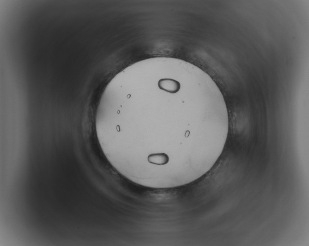 X0000102790370200808251033