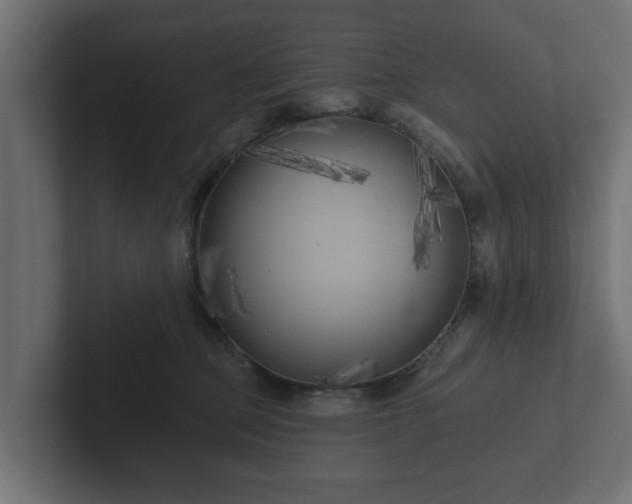 X0000102790373200808251033