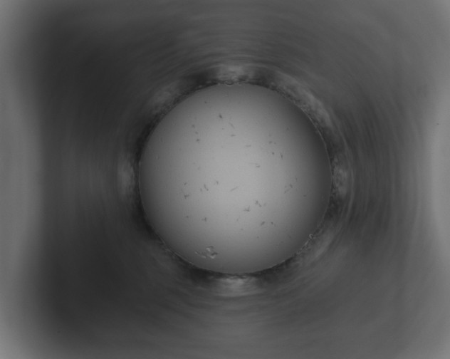 X0000102790375200808251033