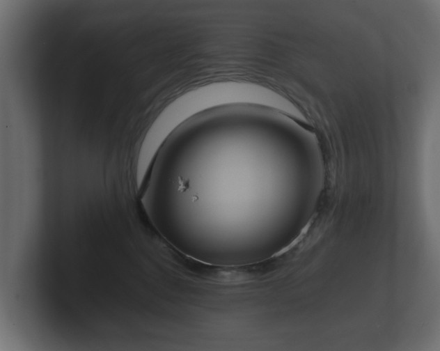 X0000102790376200808251033