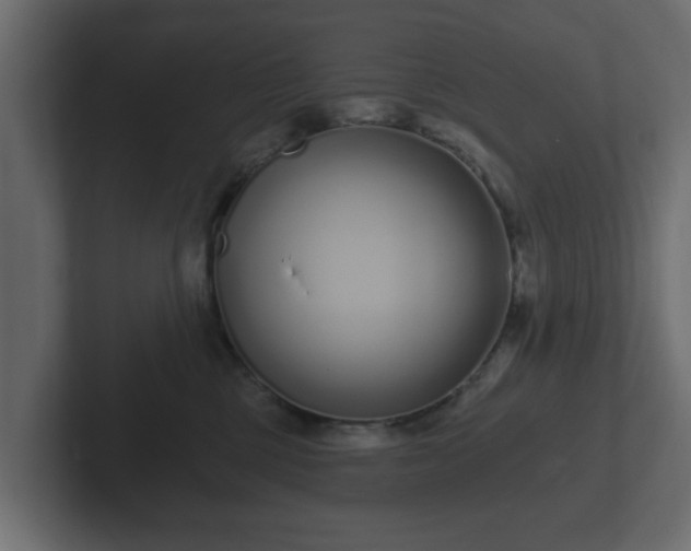 X0000102790377200808251033