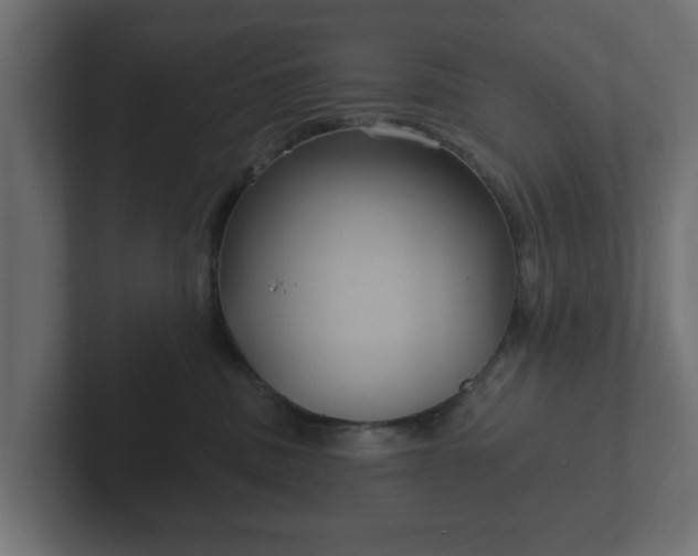 X0000102790379200808251033