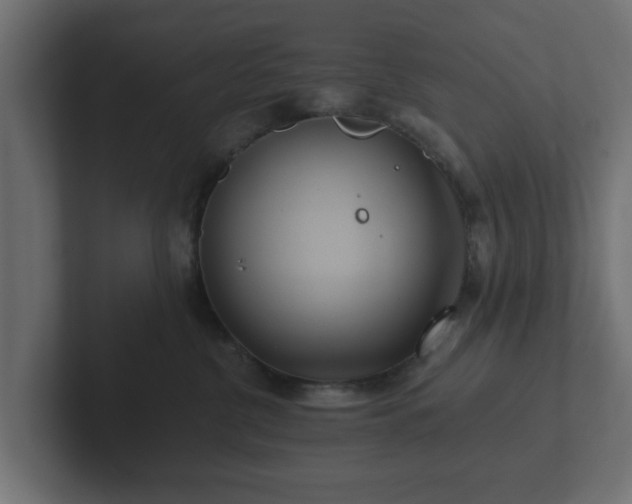 X0000102790380200808251033