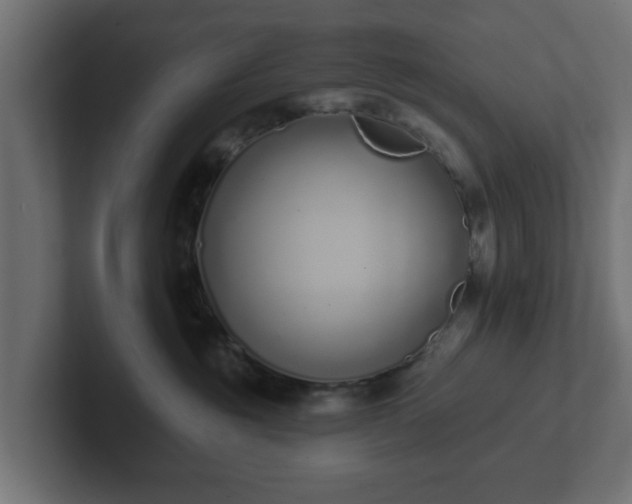 X0000102790381200808251033