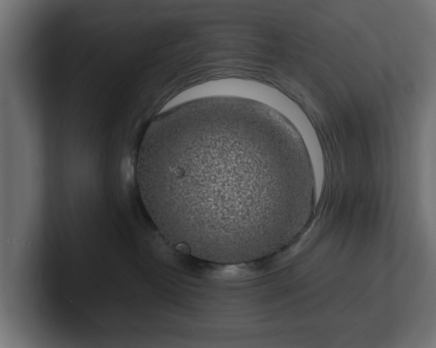 X0000102790382200808251033