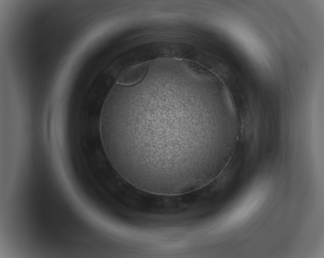 X0000102790383200808251033