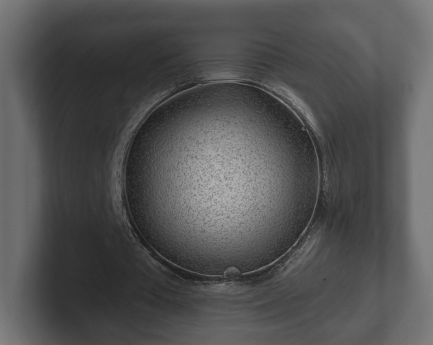 X0000102790385200808251033