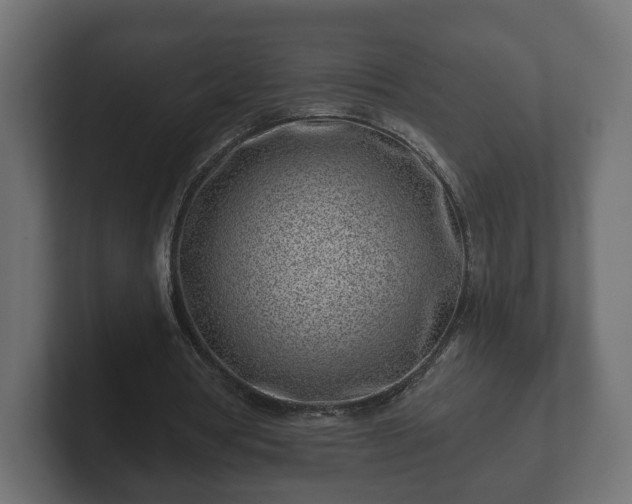 X0000102790386200808251033