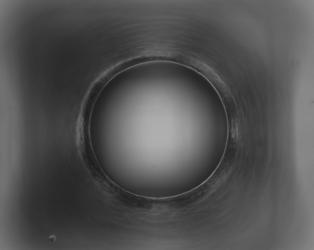 X0000102790388200808251033