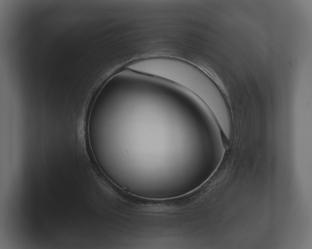 X0000102790389200808251033