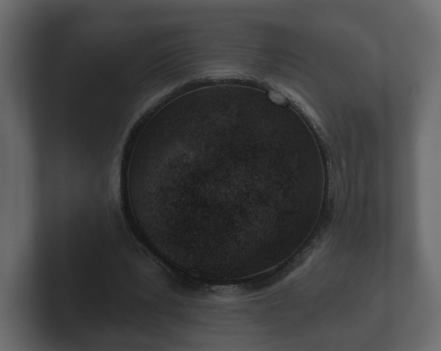 X0000102790391200808251033