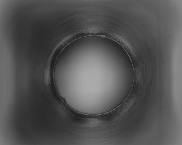 X0000102790392200808251033