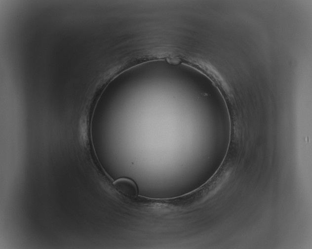 X0000102790393200808251033