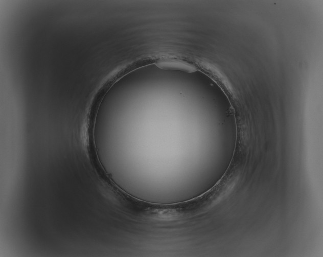 X0000102790395200808251033