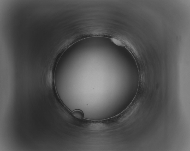 X0000102790397200808251033