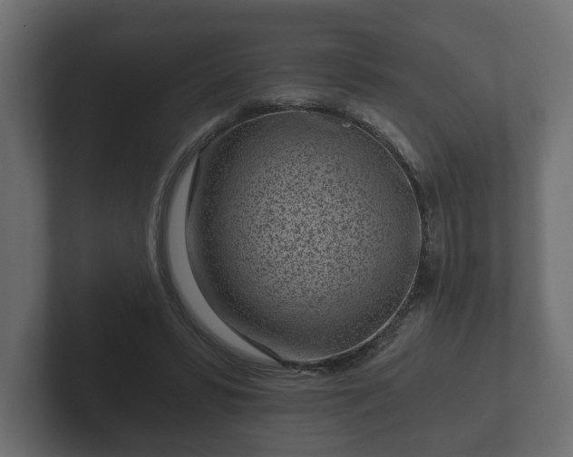 X0000102790399200808251033