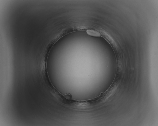 X0000102790401200808251033