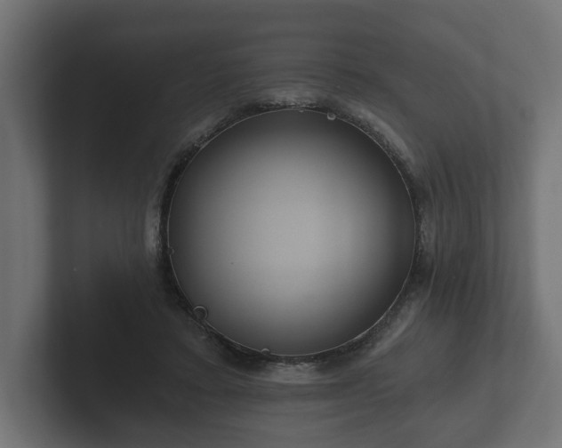 X0000102790403200808251033