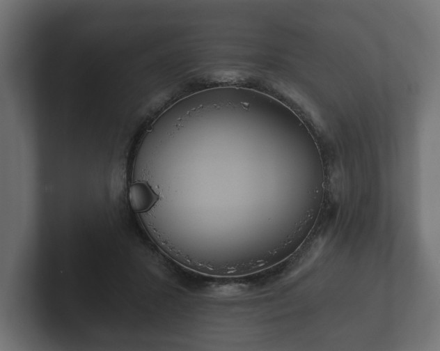 X0000102790407200808251033