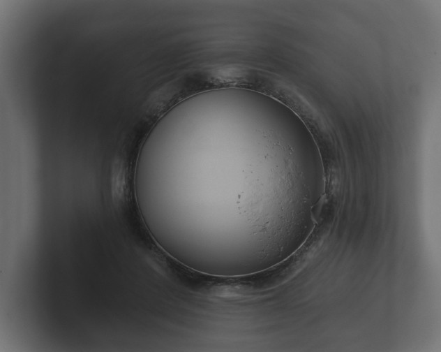 X0000102790408200808251033