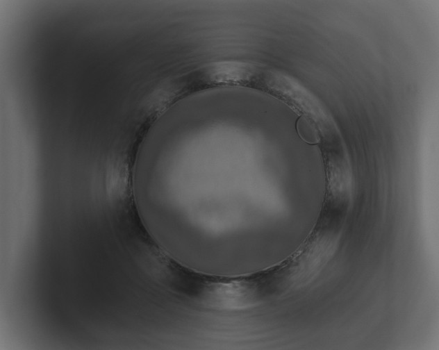 X0000102790411200808251032